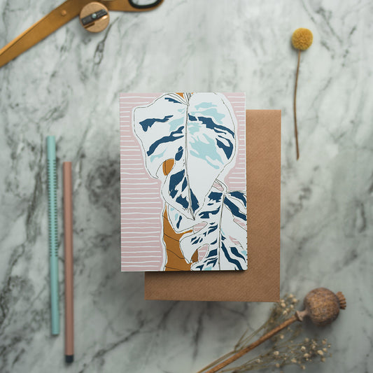 Variegated Monstera Illustration Card