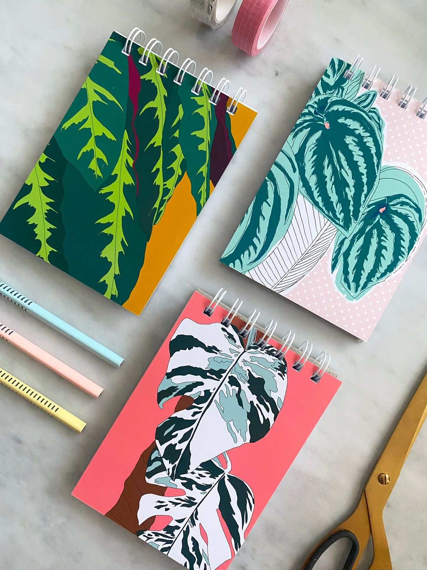 Plant Illustrations A6 Notebook Watermelon Peperomia