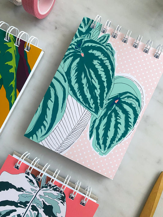 Plant Illustrations A6 Notebook Watermelon Peperomia